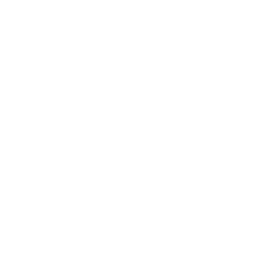Timeline Icon